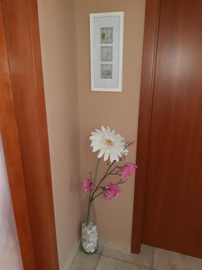 Guest Rooms Deva 부르가스 외부 사진
